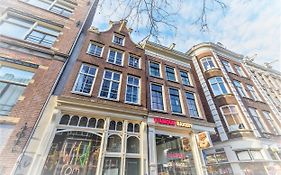Sunflower Amsterdam